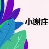 小謝莊村（關于小謝莊村簡介）