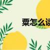 粟怎么讀是多音字嗎（粟怎么讀）