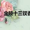 金陵十三釵香蘭怎么有木棍（金陵十三釵香蘭）