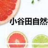 小谷田自然村（關于小谷田自然村簡介）