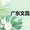 廣東文昌雞（關于廣東文昌雞介紹）