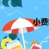 小費制（關于小費制簡介）