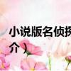 小說版名偵探柯南（關于小說版名偵探柯南簡介）