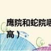 鷹院和蛇院哪個智商高（鷹院和蛇院哪個人氣高）