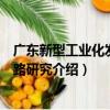 廣東新型工業化發展道路研究（關于廣東新型工業化發展道路研究介紹）