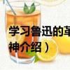 學習魯迅的革命精神（關于學習魯迅的革命精神介紹）