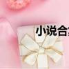 小說合集（關于小說合集簡介）