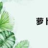 蘿卜坑啥意思（蘿卜坑）