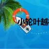 小輪葉越桔（關于小輪葉越桔簡介）