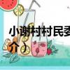 小謝村村民委員會（關于小謝村村民委員會簡介）