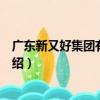 廣東新又好集團有限公司（關于廣東新又好集團有限公司介紹）