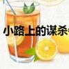 小路上的謀殺者（關于小路上的謀殺者簡介）