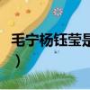 毛寧楊鈺瑩是什么關系（毛寧楊鈺瑩什么關系）