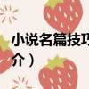 小說名篇技巧評點（關于小說名篇技巧評點簡介）