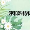 呼和浩特特產在哪賣（呼和浩特特產）