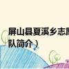 屏山縣夏溪鄉志愿服務大隊（關于屏山縣夏溪鄉志愿服務大隊簡介）