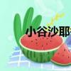 小谷沙耶香（關于小谷沙耶香簡介）