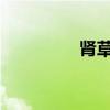 腎草精泡水的功效與作用