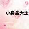 小身金天王像（關于小身金天王像簡介）