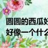 圓圓的西瓜好像一個什么二年級（圓圓的西瓜好像一個什么）