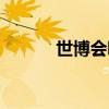 世博會哪一年（世博會的主題）