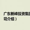 廣東新峰投資集團有限公司（關于廣東新峰投資集團有限公司介紹）