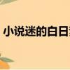 小說迷的白日夢（關于小說迷的白日夢簡介）