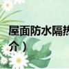 屋面防水隔熱涂料（關于屋面防水隔熱涂料簡介）