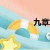 九章算法官網（九章算法）