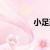小足球（關于小足球簡介）