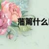 藩籬什么時候上映（藩籬什么意思）