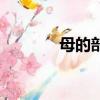 母的部首是什么（母的部首）