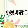 小說詞語匯釋（關于小說詞語匯釋簡介）