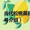 當代松桃苗族牛角號（關于當代松桃苗族牛角號介紹）
