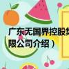 廣東無國界控股集團有限公司（關于廣東無國界控股集團有限公司介紹）