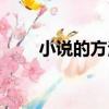 小說的方法（關于小說的方法簡介）