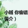 小賊 你偷錯了東西（關于小賊 你偷錯了東西簡介）