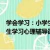 學會學習：小學生學習心理輔導課程（關于學會學習：小學生學習心理輔導課程介紹）