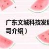 廣東文城科技發展有限公司（關于廣東文城科技發展有限公司介紹）