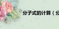 分子式的計算(分子式)