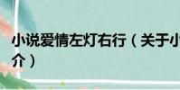 小說愛情左燈右行(關于小說愛情左燈右行簡介)