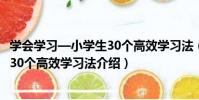 學會學習—小學生30個高效學習法(關于學會學習—小學生30個高效學習法介紹)