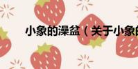 小象的澡盆(關于小象的澡盆簡介)