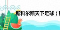 斯科爾斯天下足球(斯科爾斯)