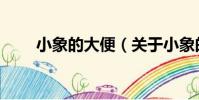 小象的大便(關于小象的大便簡介)