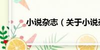 小說雜志(關于小說雜志簡介)