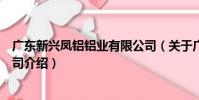 廣東新興鳳鋁鋁業有限公司(關于廣東新興鳳鋁鋁業有限公司介紹)