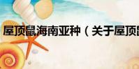 屋頂鼠海南亞種(關于屋頂鼠海南亞種簡介)