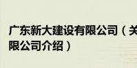 廣東新大建設有限公司(關于廣東新大建設有限公司介紹)