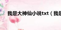 我是大神仙小說txt(我是大神仙小說)